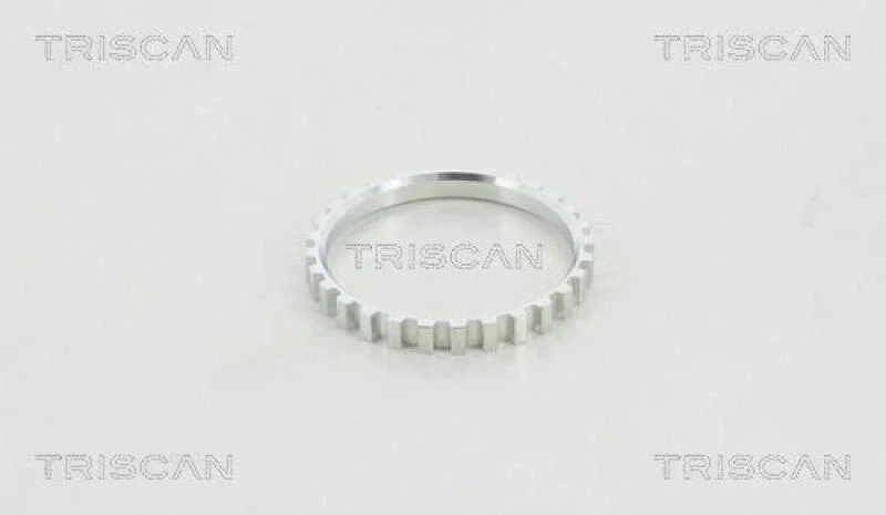lott-1029724