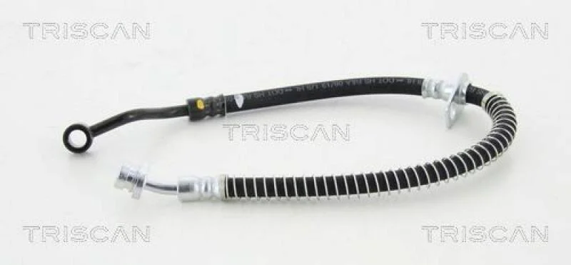 lott-1061389