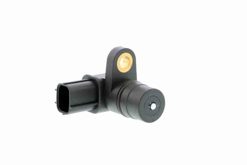 lott-1146436