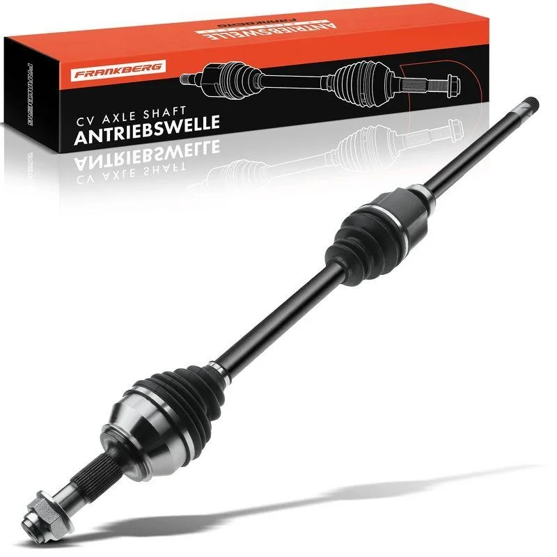 lott-1160544