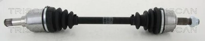 lott-1163192
