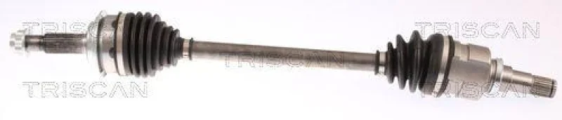 lott-1163295