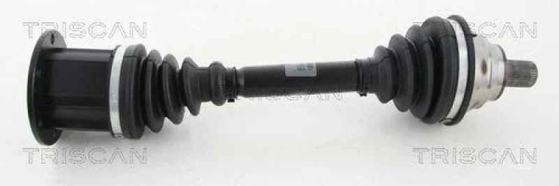lott-1163736