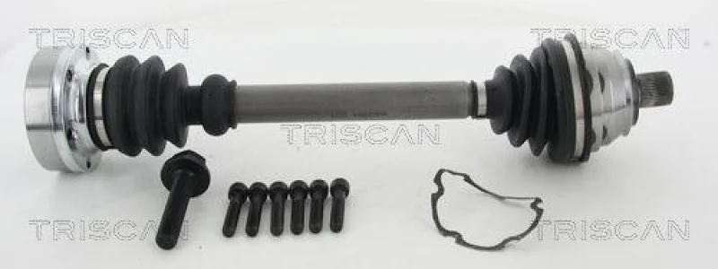 lott-1163801