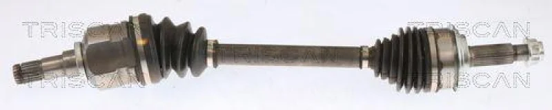 lott-1163982