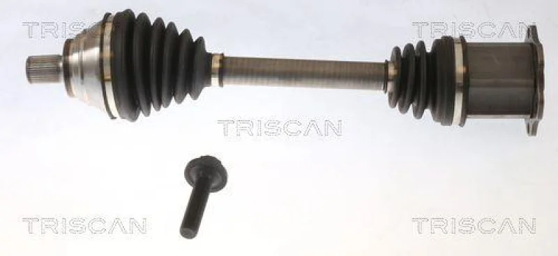 lott-1164027