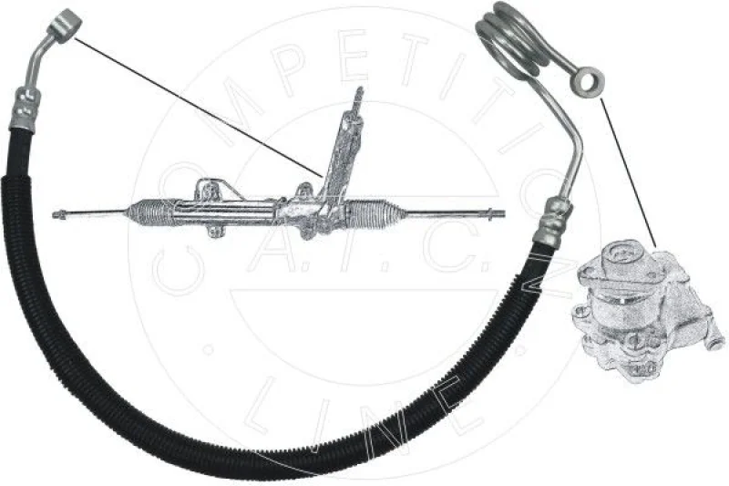 lott-1187871