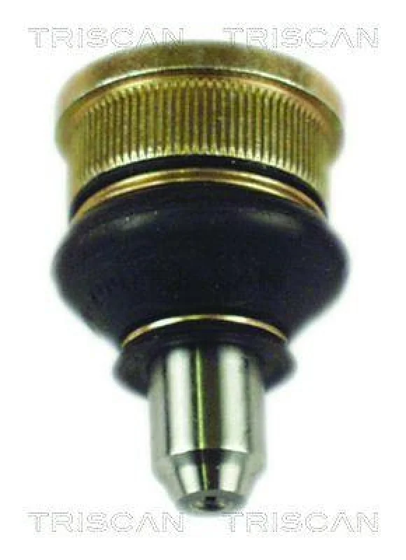 lott-1237722
