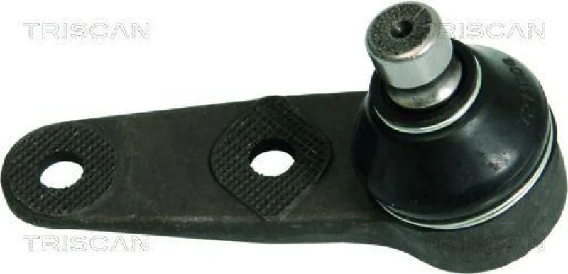lott-1238184