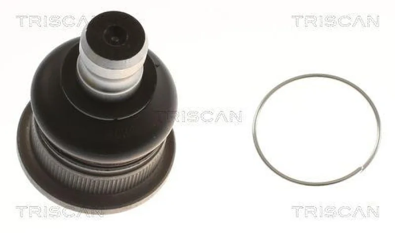 lott-1239593
