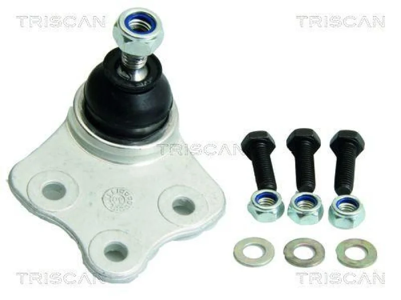 lott-1239625