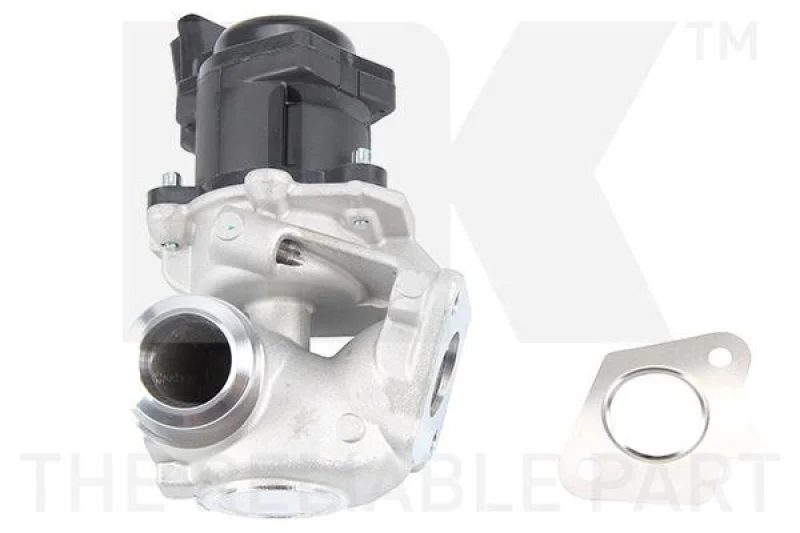 lott-1244508