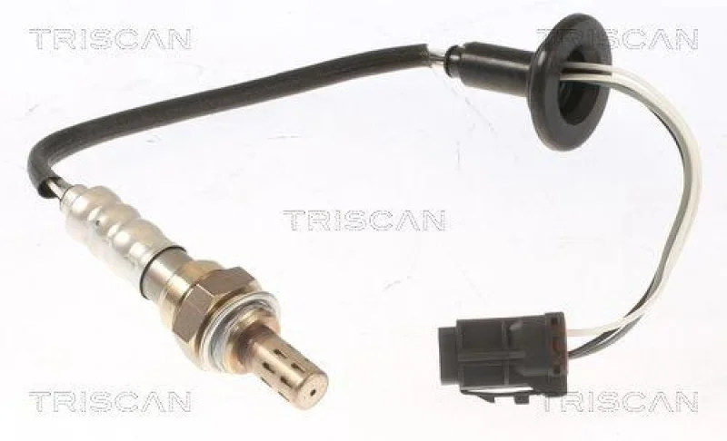 lott-1245417