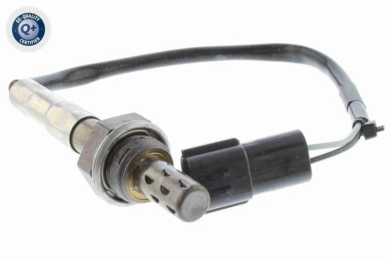 lott-1245448