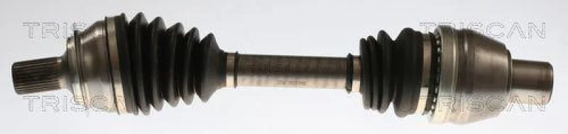 lott-1267364