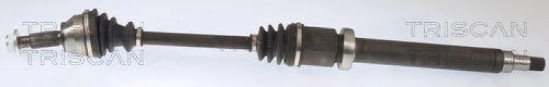 lott-1267402