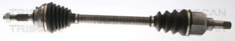 lott-1267420