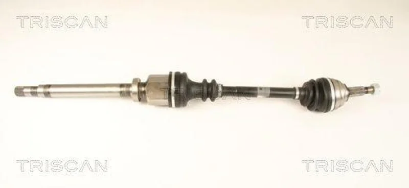 lott-1267496