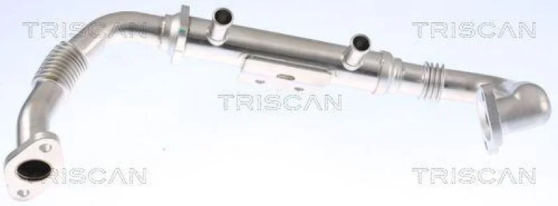 lott-295483