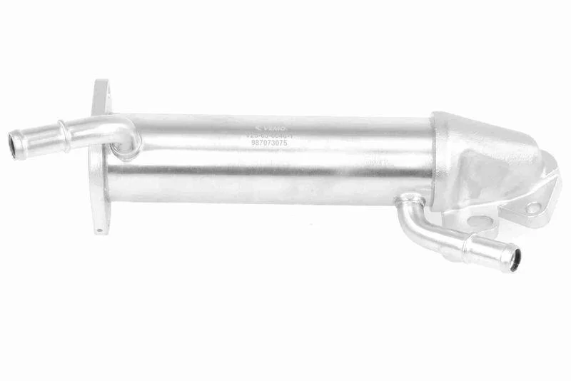 lott-295551