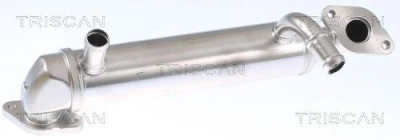 lott-295621