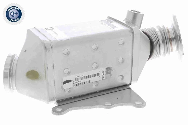 lott-296079
