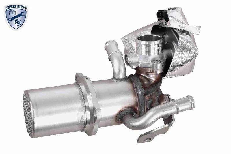 lott-296802