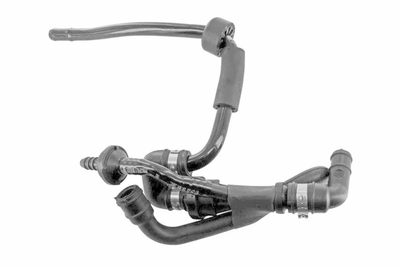 lott-297524