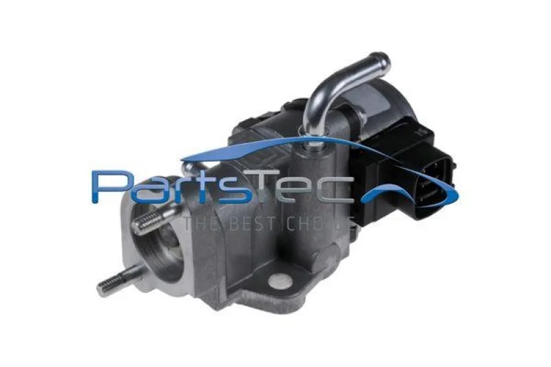 lott-297755