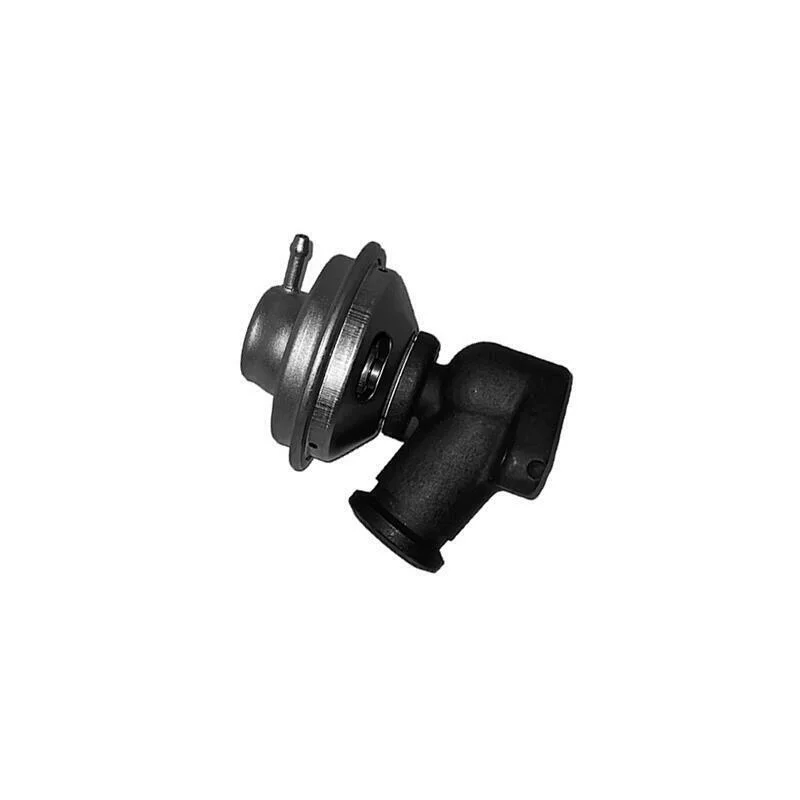 lott-297863