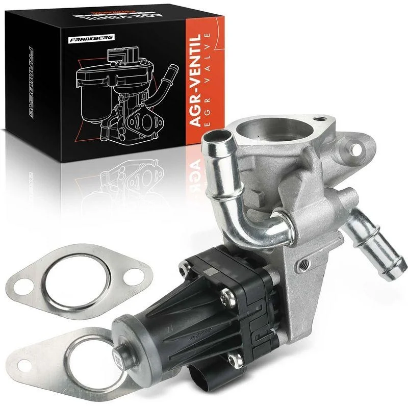 lott-298169