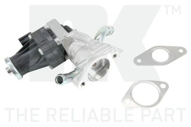 lott-298235