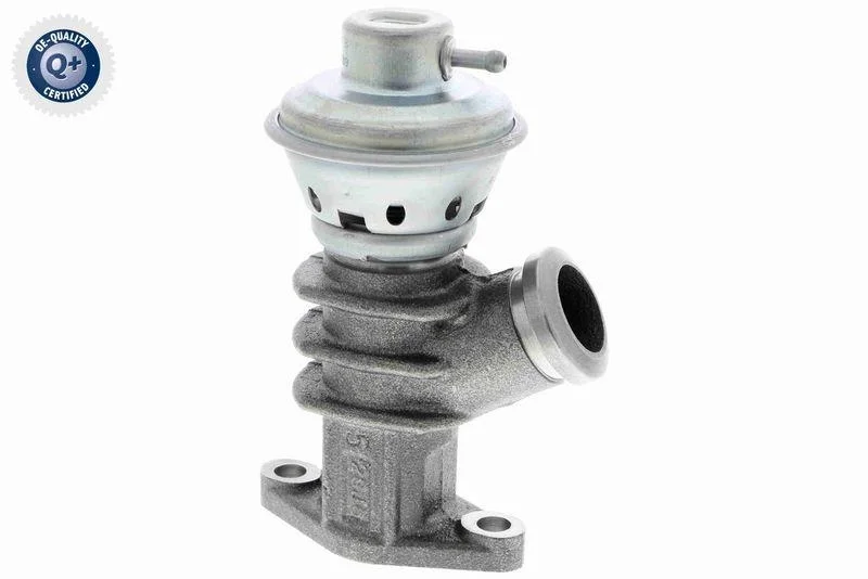 lott-298962