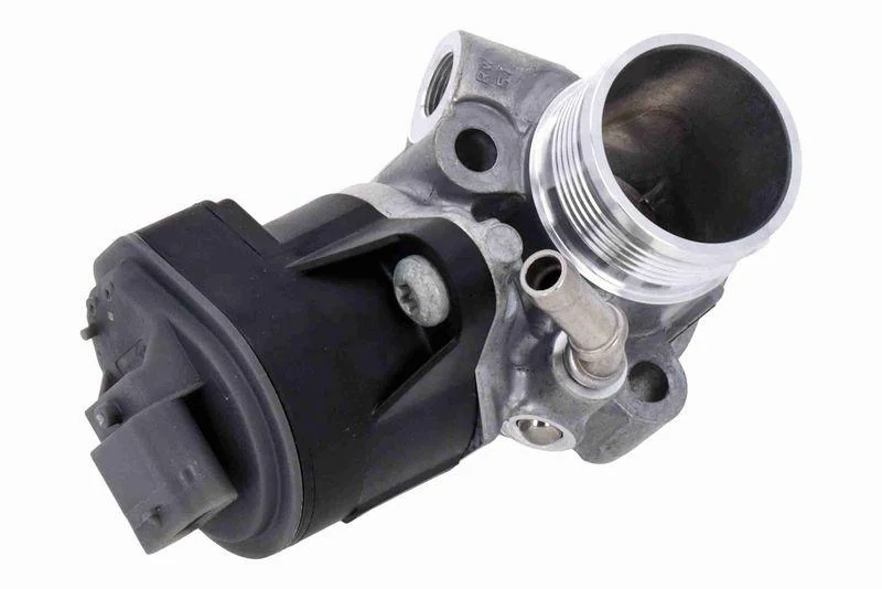 lott-299129