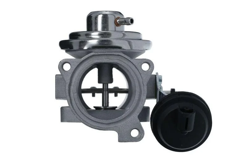 lott-299476