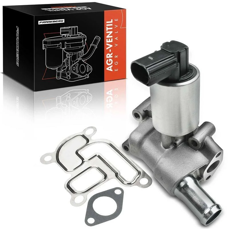 lott-299652