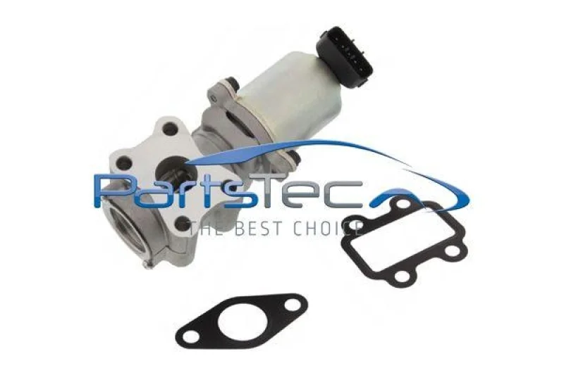 lott-299862