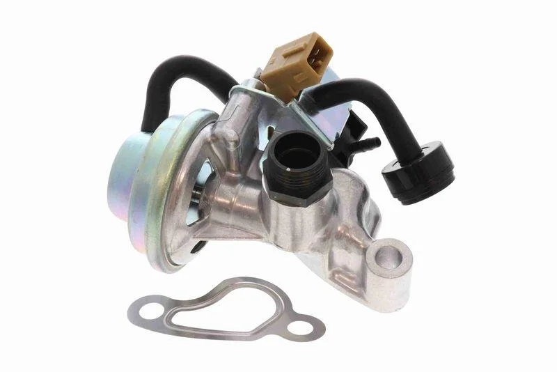 lott-300368