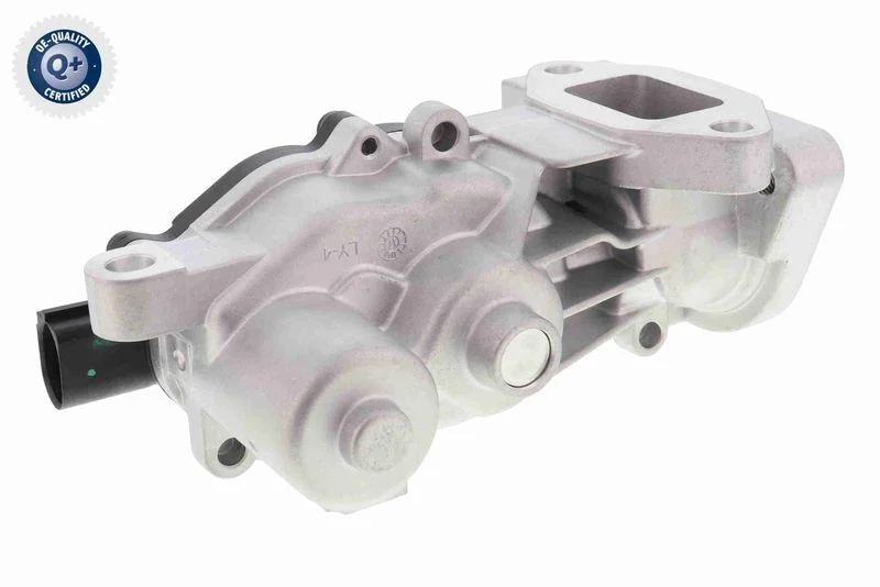 lott-300570