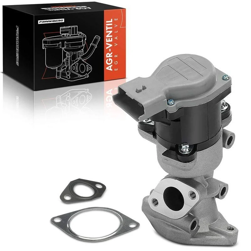 lott-300733