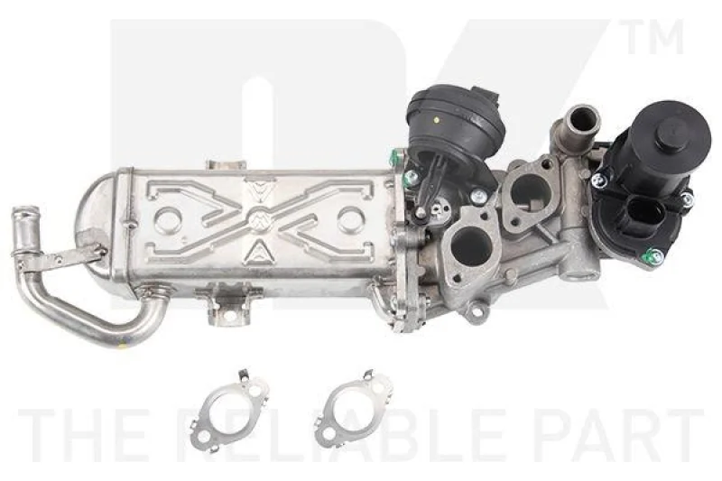 lott-300794