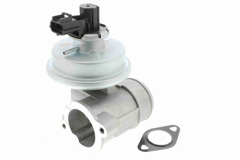lott-301340