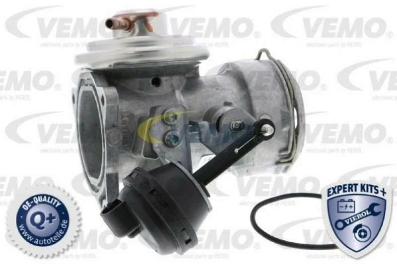 lott-301610