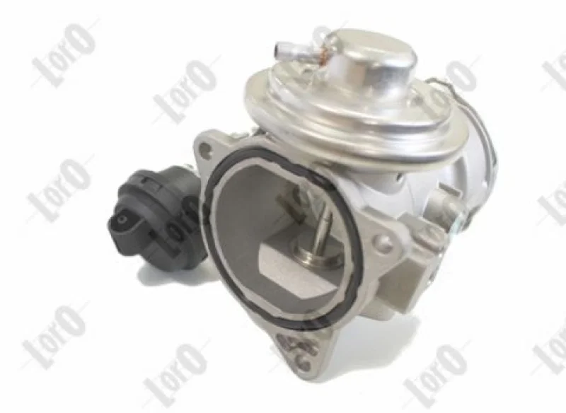 lott-301869