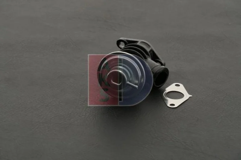 lott-302182