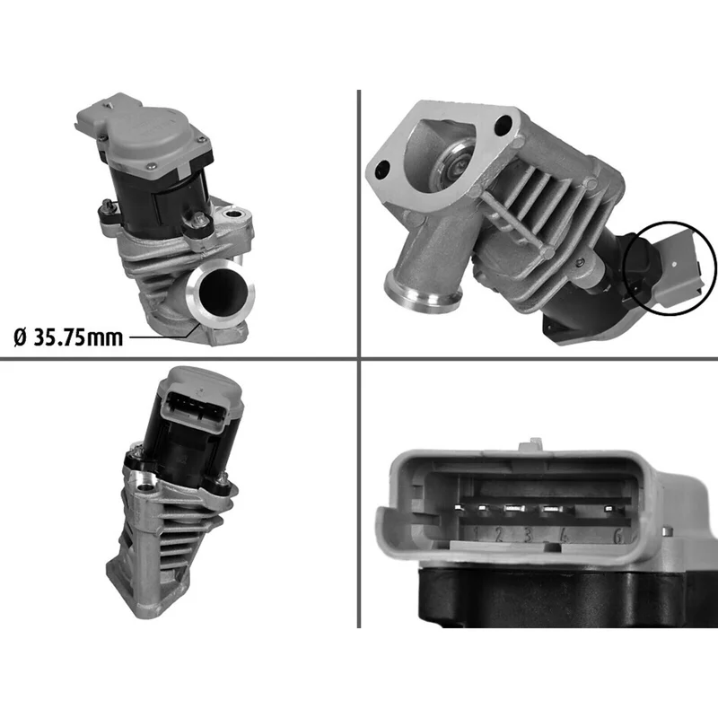 lott-302194