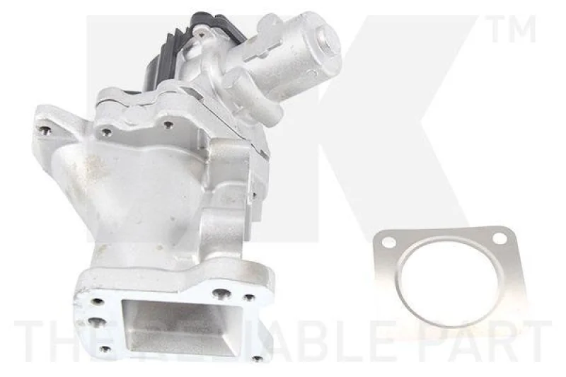lott-302362