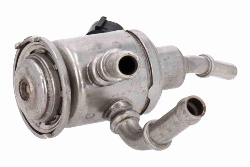 lott-307318
