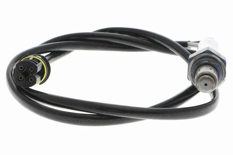 lott-320821