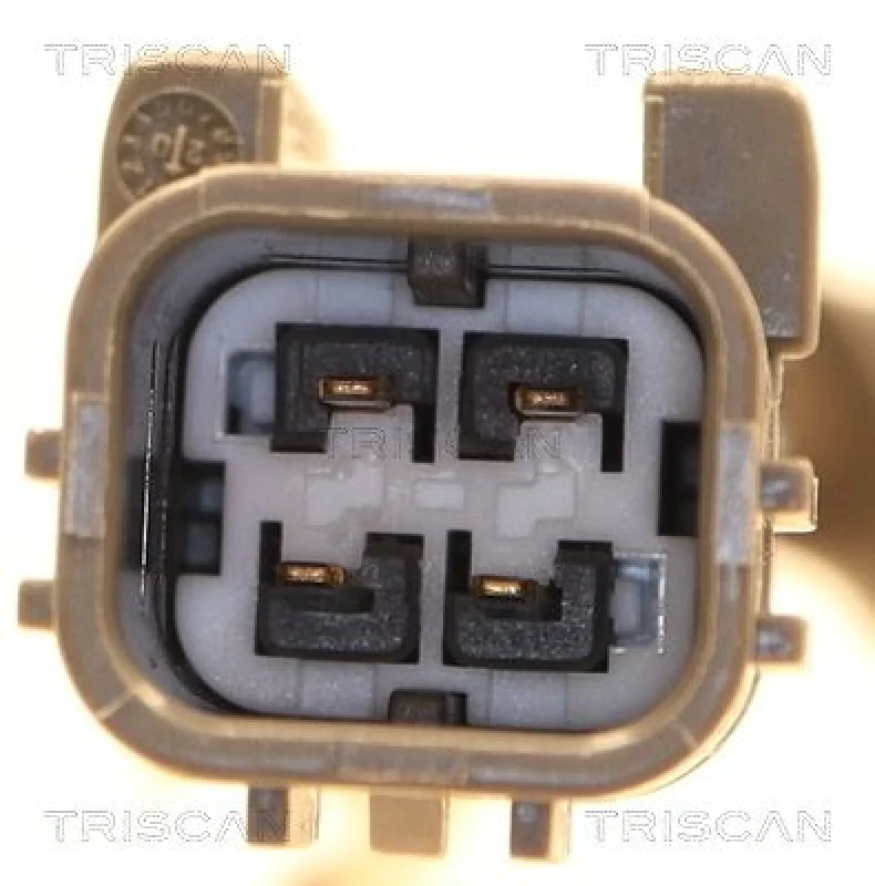 lott-321299